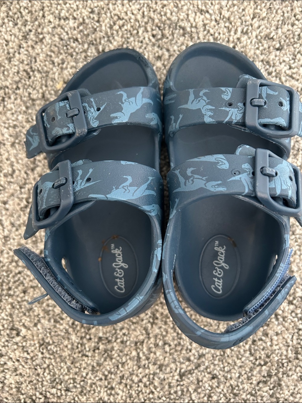 Cat & Jack Blue Toddlers' Adjustable Buckle Sandals with Dino Print
